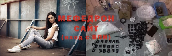 индика Аркадак