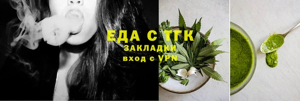 индика Аркадак