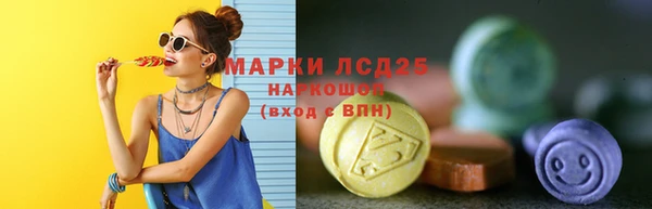 индика Аркадак