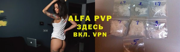 индика Аркадак