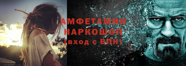 индика Аркадак
