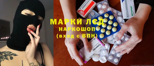 индика Аркадак